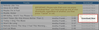 Screenshot showing the Download Now link for a song on Freegal.