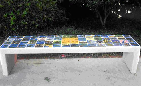 Picutre of the new bench at the main branch library