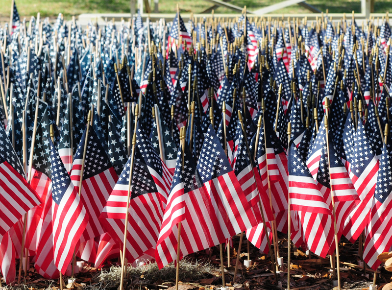 vetday_flags vetday_flags