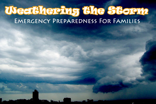 Weathering the Storm