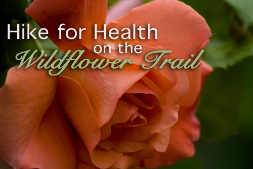 hikeforhealth hikeforhealth