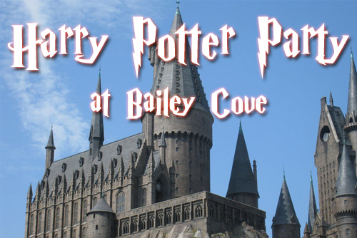 Harry Potter Party