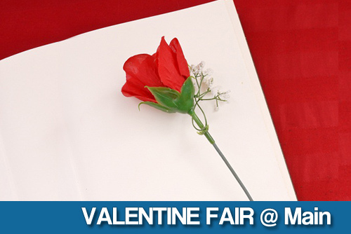 main_valentinefair