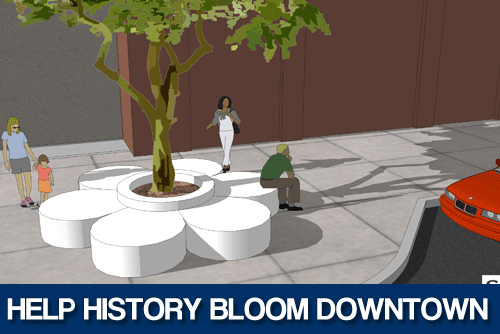historybloomhsv historybloomhsv