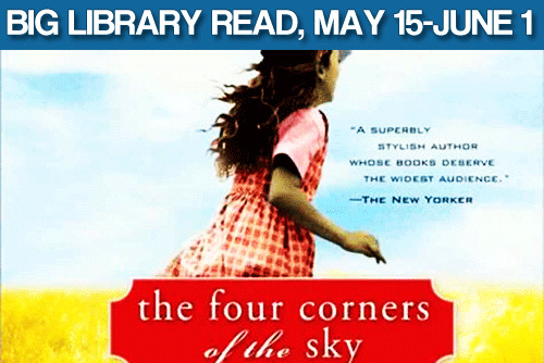 biglibraryread-dmz